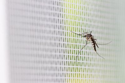 Keep Out Unwanted Insects!